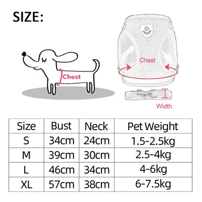 Adjustable Pet Harness Set