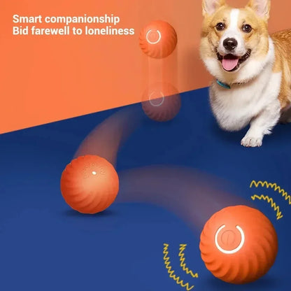 Smart Dog Toy Ball, Automatic Rechargeable Rolling Ball for Pets