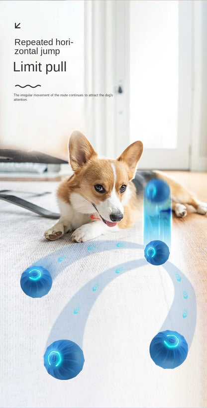 Smart Dog Toy Ball, Automatic Rechargeable Rolling Ball for Pets