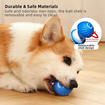 Smart Dog Toy Ball, Automatic Rechargeable Rolling Ball for Pets