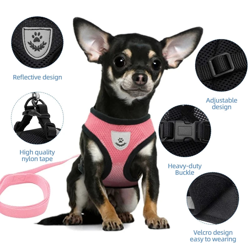 Adjustable Pet Harness Set