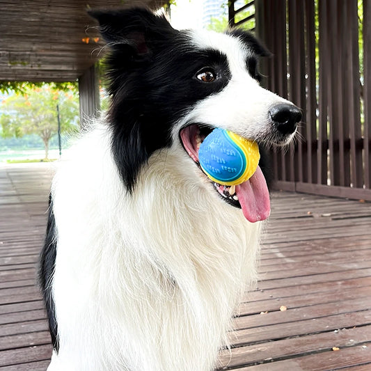 Squeaky Interactive Dog Toy