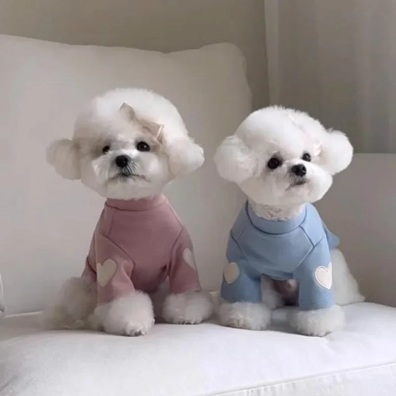 Warm Winter Pet Clothes, Cute Love Bear Hoodie for Dogs & Cats