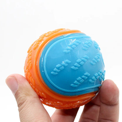 Squeaky Interactive Dog Toy