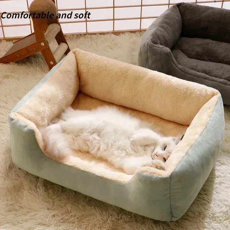 Pet Bed & Mat for Cats and Dogs, Puppy Cushions, Houses, and Accessories